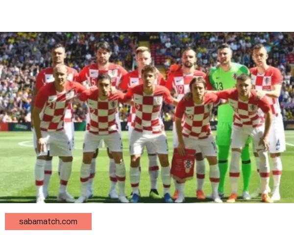 世界杯竞猜赔率全解析：各热门球队胜率与潜在黑马对比分析